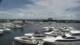 Naples, Florida So. 31.5.
