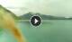 Walchensee Mo. 1.6.