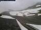 Sustenpass Mo. 1.6.