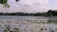 Les Landes-Genusson Mo. 1.6.
