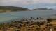Malpica Mo. 1.6.