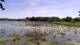 Les Landes-Genusson Mo. 1.6.