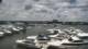 Naples, Florida Mo. 1.6.