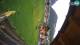 Livigno Di. 2.6.