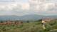 Pietrapiana Di. 2.6.