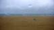 Berck-sur-Mer Di. 2.6.