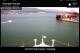 Emerald Princess Di. 2.6.