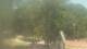 Fairview, Tennessee Mi. 3.6.