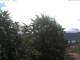 Gmund am Tegernsee Mi. 3.6.
