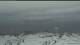 Ny-Ålesund (Spitzbergen) Mi. 3.6.