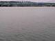 Arbon Mi. 3.6.