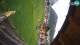 Livigno Mi. 3.6.
