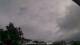 Carrum Mi. 3.6.