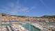 Cassis Mi. 3.6.