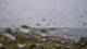 Perros-Guirec Mi. 3.6.