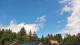 Hahnenklee-Bockswiese Mi. 3.6.
