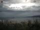Triest Mi. 3.6.