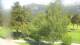 Barcelonnette Do. 4.6.