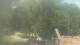 Fairview, Tennessee Do. 4.6.