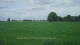 't Zandt Do. 4.6.