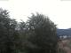 Gmund am Tegernsee Do. 4.6.