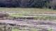 Les Landes-Genusson Do. 4.6.