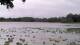 Les Landes-Genusson Do. 4.6.