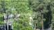 Jurmala Do. 4.6.