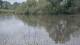 Les Landes-Genusson Do. 4.6.