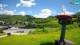 Bohinjska Bistrica Do. 4.6.