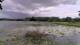 Les Landes-Genusson Do. 4.6.
