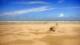 Berck-sur-Mer Do. 4.6.