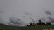 Sinsheim Do. 4.6.
