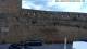 Morella Do. 4.6.