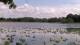 Les Landes-Genusson Fr. 5.6.