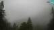 Kranjska Gora Fr. 5.6.
