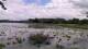 Les Landes-Genusson Fr. 5.6.