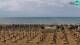 Bibione Fr. 5.6.