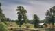 Davidsonville, Maryland Sa. 6.6.