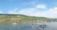 Bingen am Rhein Sa. 6.6.