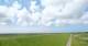 Westerhever Sa. 6.6.