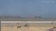 Essaouira Sa. 6.6.