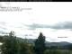 Birnbrunn So. 7.6.