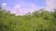 Metairie, Louisiana So. 7.6.