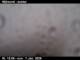 Seyðisfjörður So. 7.6.