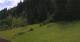 Going am Wilden Kaiser So. 7.6.