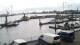 Delfzijl So. 7.6.