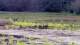 Les Landes-Genusson So. 7.6.