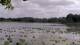 Les Landes-Genusson So. 7.6.