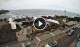 Garachico (Teneriffa) So. 7.6.
